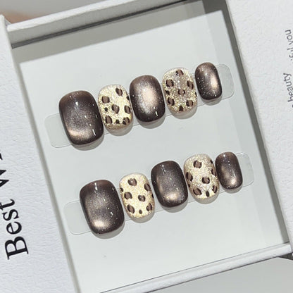 قطة مطاردة الضوء 